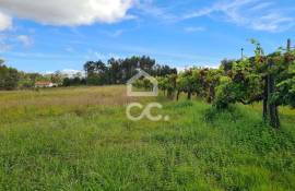 Building land for sale in Subportela