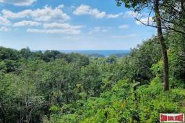 Sea View Land 13.9 Rai For Sale in Layan