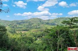 Sea View Land 13.9 Rai For Sale in Layan