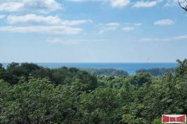 Sea View Land 13.9 Rai For Sale in Layan