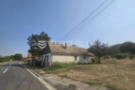 Erdut, Dalj, Old house with land of 5332 m2, vineyard