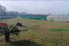 Terreno Agrícola em Ovar, São João, Arada e São Vicente de Pereira Jusã de 35000,00 m²