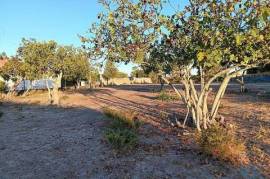 Terreno para construção em Coruche, Fajarda e Erra de 50,00 m²