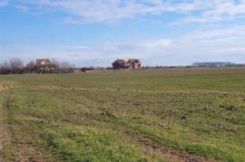 Land for sale 20000 sqm in Frumusani