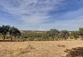 Farmhouse with 360º view