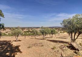 Farmhouse with 360º view