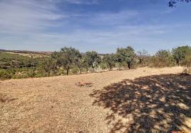 Farmhouse with 360º view