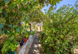 4 bedroom traditional farmhouse for modernisation, with outbuildings, orchard & wells. Moncarapacho