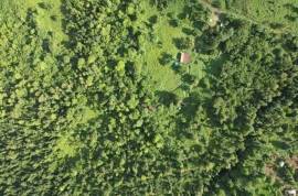 3 Log Cabins & 5 Acres of Rainforest land For Sale In Pont Casse