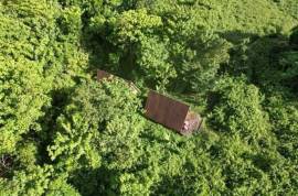 3 Log Cabins & 5 Acres of Rainforest land For Sale In Pont Casse