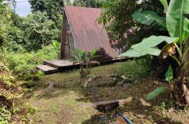 3 Log Cabins & 5 Acres of Rainforest land For Sale In Pont Casse