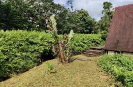 3 Log Cabins & 5 Acres of Rainforest land For Sale In Pont Casse