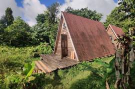 3 Log Cabins & 5 Acres of Rainforest land For Sale In Pont Casse