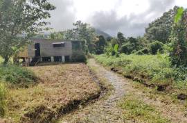 3 Log Cabins & 5 Acres of Rainforest land For Sale In Pont Casse