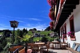 Multi-Family Home or Boutique Hotel & Apartments For Sale in Southern Black Forest