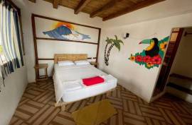 Stunning Hostel Coco Loco For Sale in Canoa