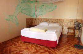 Stunning Hostel Coco Loco For Sale in Canoa