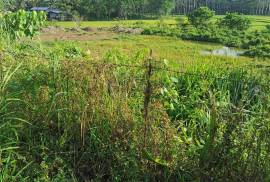 Excellent Plot of land for sale in Hawilian Agusan del Sur