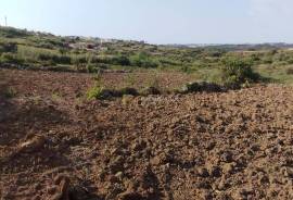 Rural land Mafra