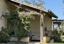 Charming Country Cottage with Pyrenees Views, Pool, and Barn Wing