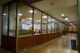 Rijeka, City Center, commercial space with an area of 800m²