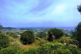 Terreno agricolo ottima esposizione con accesso carraio a Sanremo frazione Poggio