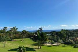 Quintessential Tropical Retreat