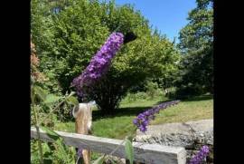 Rustic Farmhouse & Gite For Sale In Viscomtat Auvergne