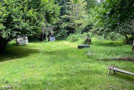 Rustic Farmhouse & Gite For Sale In Viscomtat Auvergne