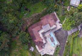 Luxury 7 Bed Estate Home For Sale In Boquete