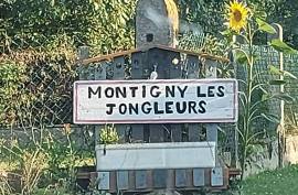 2 Houses & 2 Barns with 5 Bedrooms For Sale In Montigny les Jongleurs