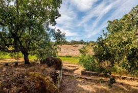 In the heart of Natural Park of São Mamede