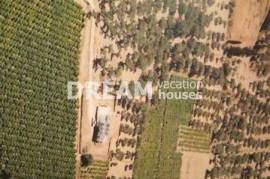 (For Sale) Land Agricultural Land || Zakynthos (Zante)/Artemisio - 4.497 Sq.m, 150.000€