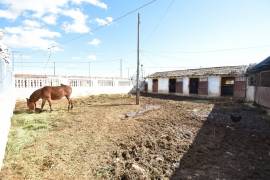 Unic Andalusian style country property in Albatera