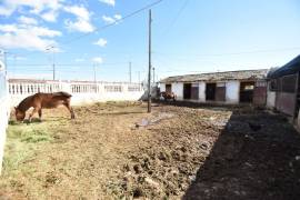 Unic Andalusian style country property in Albatera