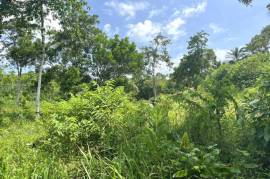 Serene 1 Rai Mountain View Land for Sale in Tha Yu, Phangnga