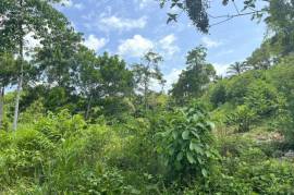 Serene 1 Rai Mountain View Land for Sale in Tha Yu, Phangnga