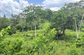 Serene 1 Rai Mountain View Land for Sale in Tha Yu, Phangnga