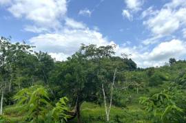 Serene 1 Rai Mountain View Land for Sale in Tha Yu, Phangnga