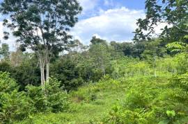 Serene 1 Rai Mountain View Land for Sale in Tha Yu, Phangnga