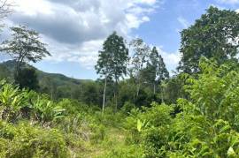 Serene 1 Rai Mountain View Land for Sale in Tha Yu, Phangnga