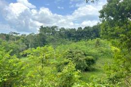 Serene 1 Rai Mountain View Land for Sale in Tha Yu, Phangnga