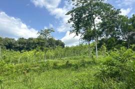 Serene 1 Rai Mountain View Land for Sale in Tha Yu, Phangnga