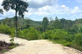 Serene 1 Rai Mountain View Land for Sale in Tha Yu, Phangnga