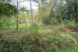 Terrain Arboré de 3230 m² à Budos - Environnement Bucolique et Calme Absolu