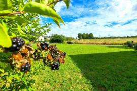 Beau terrain constructible sur Baugé-en-Anjou