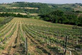 Il Cigno estate with swimming pool, vineyard and olive grove, Florence