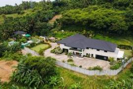 Luxury 15 Bedroom Estate For Sale in DANAO Cebu