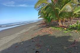 Excellent Beachfront land for sale in Quepos Costa