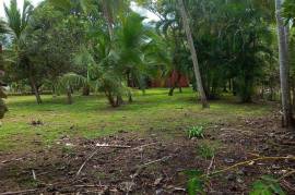 Excellent Beachfront land for sale in Quepos Costa